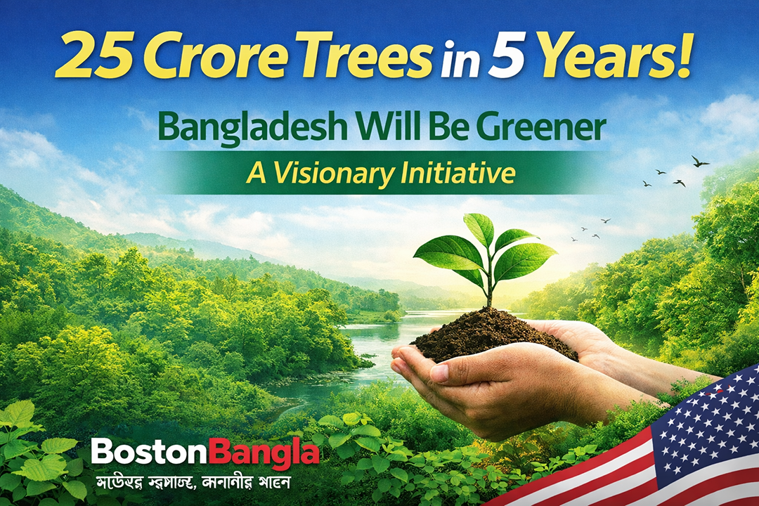 পাঁচ বছরে ২৫ কোটি বৃক্ষরোপণ ! BostonBangla (বস্টন বাংলা ) News 19 February
