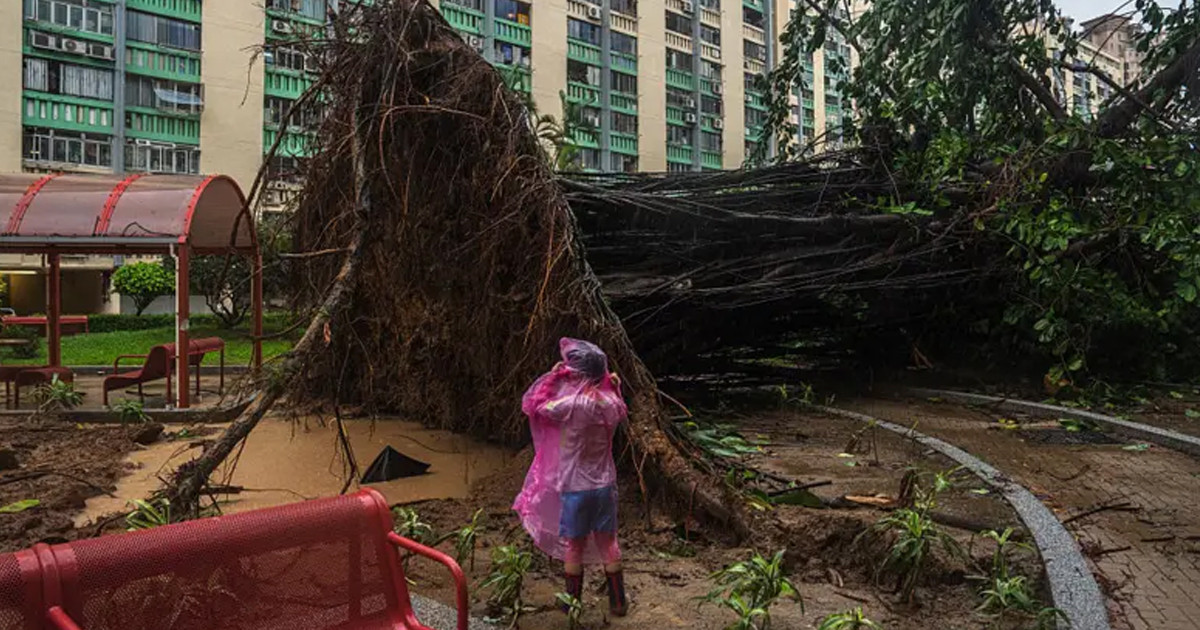 ২৪১ কিমি বেগে চীনে আঘাত হানল টাইফুন রাগাসা, সরানো হলো দুই লাখ মানুষ